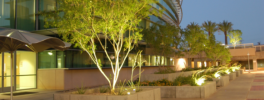 Evening exterior view of Henderson City Hall in Nevada showing upgraded lighting from Green Light Solar Energy